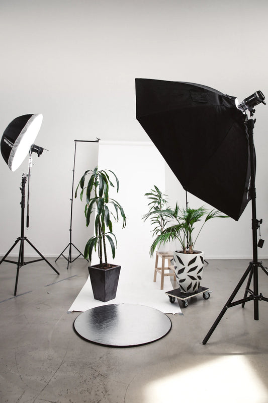 Capturing Moments A Beginner's Guide to Understanding Photography Basics