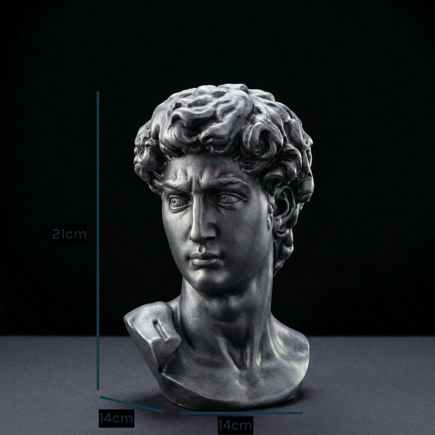 David Bust Sculpture Dark Silver | Premium Resin | Classical Pop Culture Collectible