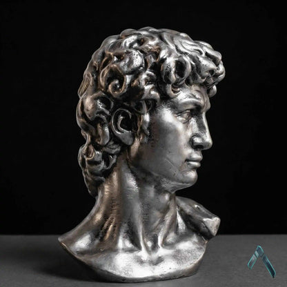 David Bust Sculpture Dark Silver | Premium Resin | Classical Pop Culture Collectible