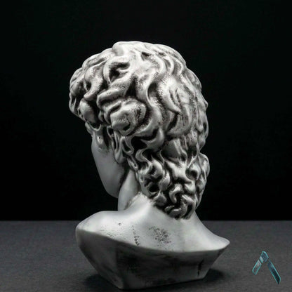 David Bust Sculpture Dark Silver | Premium Resin | Classical Pop Culture Collectible