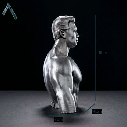 Arnold Bodybuilder Bust | Brushed Steel Metallic Finish | Pop Culture Collectible India