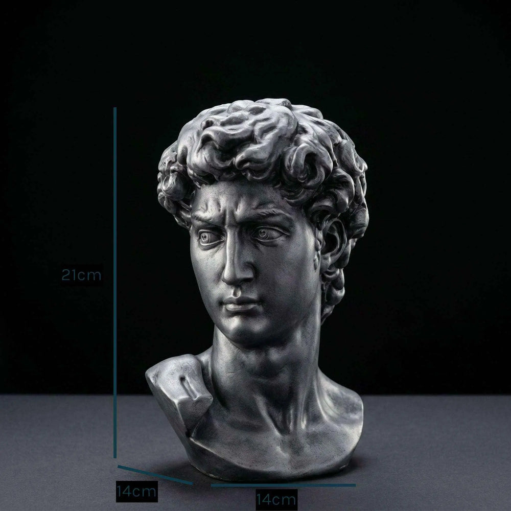 David Bust Sculpture Dark Silver | Premium Resin | Classical Pop Culture Collectible