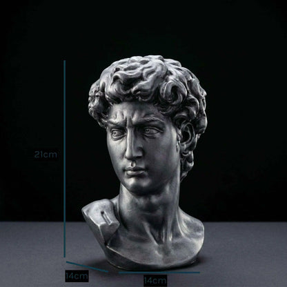 David Bust Sculpture Dark Silver | Premium Resin | Classical Pop Culture Collectible